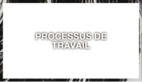 processus de travail